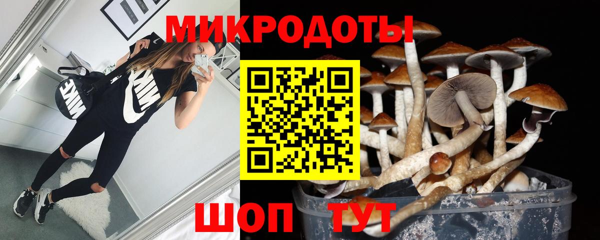 Псилоцибиновые грибы Magic Shrooms Лабытнанги